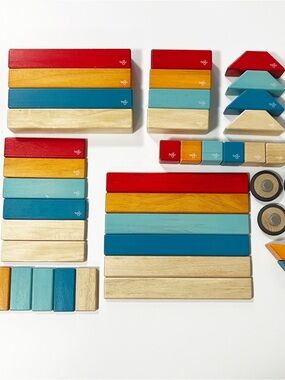 Tegu | Lot of 42 Classic Magnetic Wooden Blocks